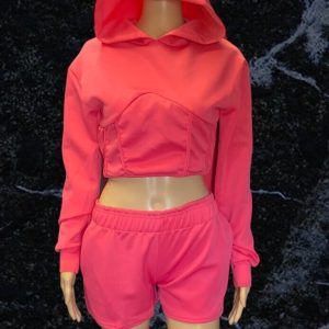 Two Piece Hooded Cropped Top and Shorts Set