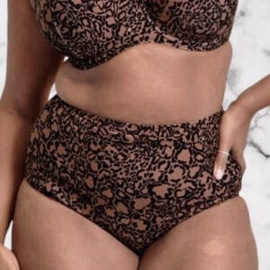Flirtelle Verona Leopard Verona Beach High Waisted Bikini Briefs Size 12